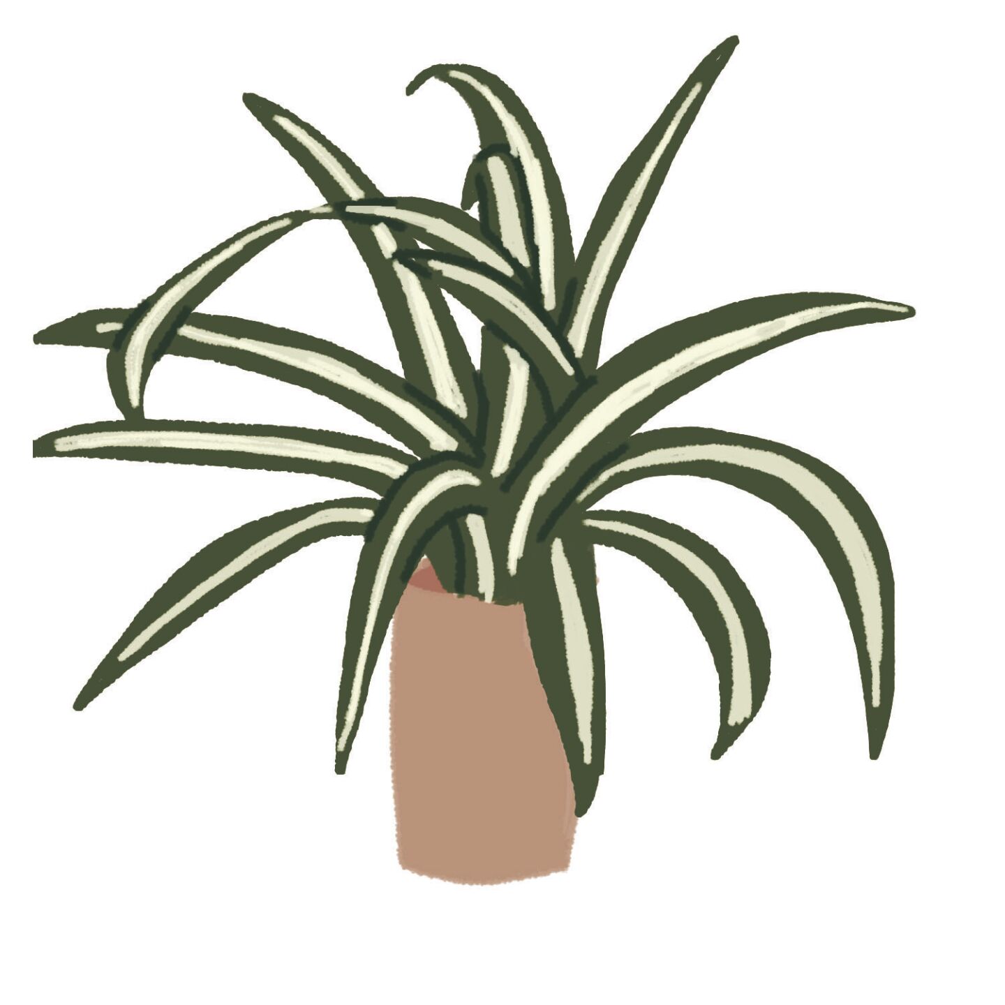 Plant parenting 101: the easiest plants for students to raise
